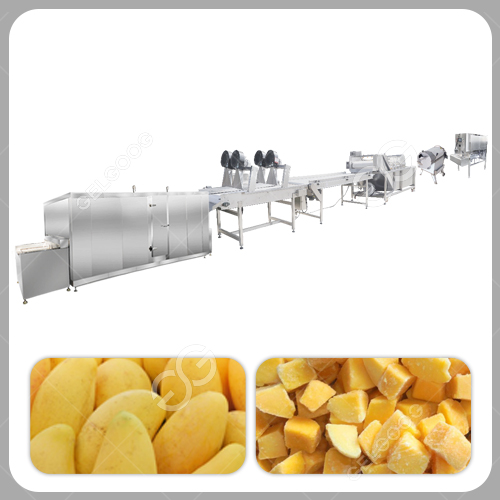 frozen mango processing line