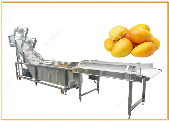 mango washing machine
