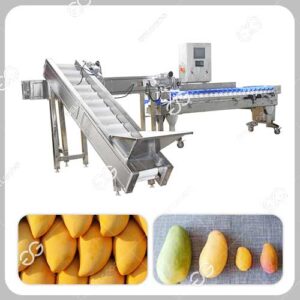 Machine à Éplucher les Fruits à la Mangue Industrielle