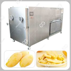 Machine de Lyophilisation sous Vide de Mangue Industrielle