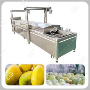 Machine de Traitement de l'Eau Chaude aux Fruits de Mangue
