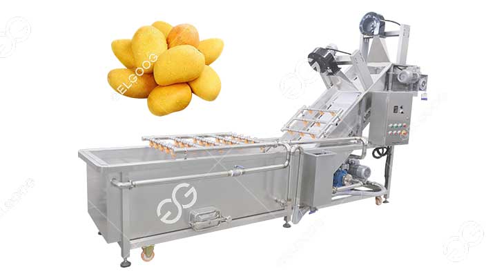 Machine à Laver à la Mangue