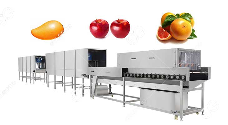 Machine de Séchage à la Cire de Mangue