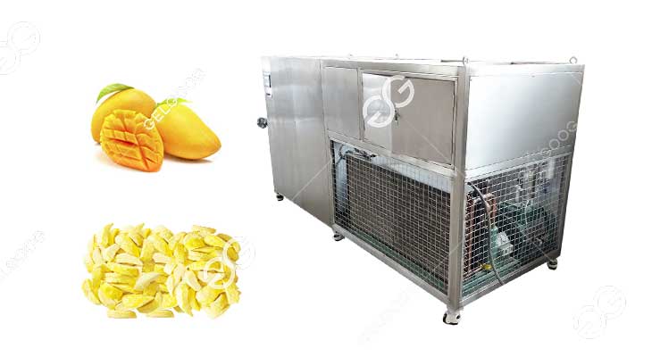 Machine de Lyophilisation à la Mangue