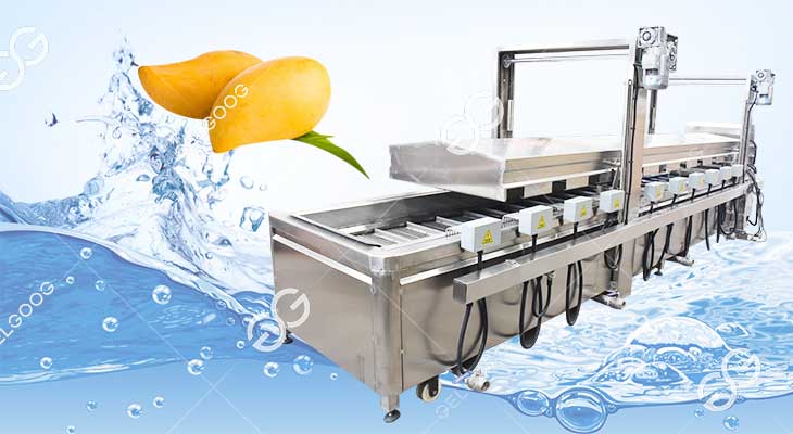 Machine de Traitement de l'Eau Chaude à la Mangue