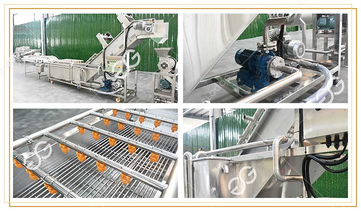 Caractéristiques de la Machine à Laver à la Mangue