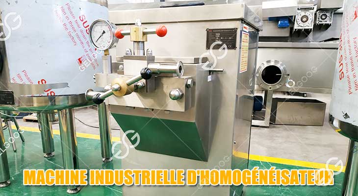 Caractéristiques de l'Homogénéisateur de Jus de Mangue