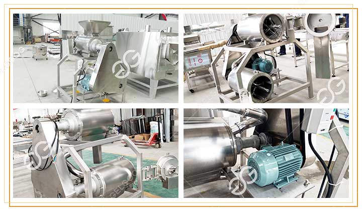 Structure de la Machine de Fabrication de Pulpe de Mangue