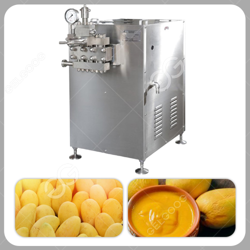 Mango Juice Homogenizer