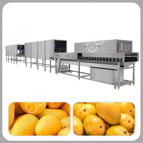 mango waxing machine