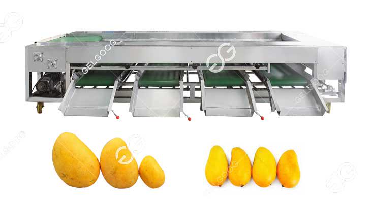 Avantages de la Trieuse de Mangue