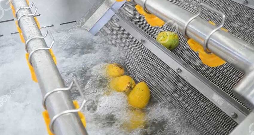 coût machine à laver mangue