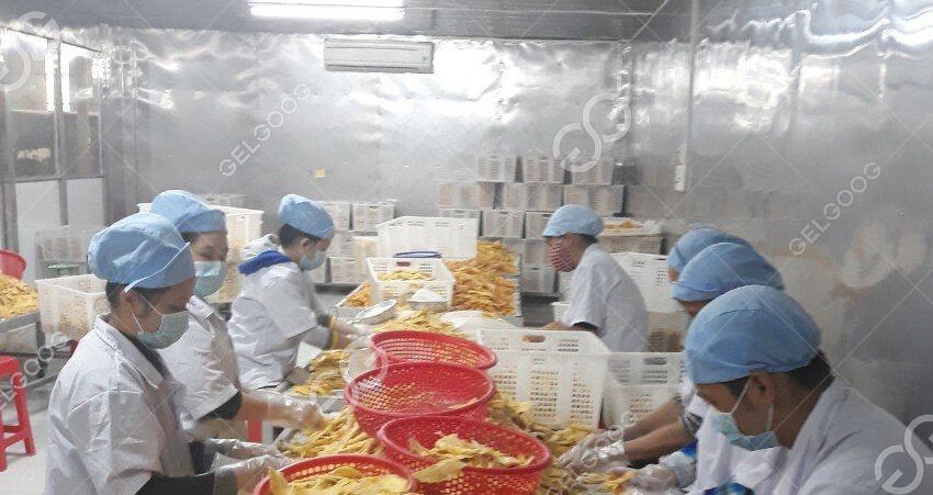temps de déshydratation de la mangue