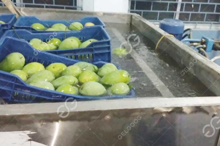 Mangue Traitée par L'eau Chaude