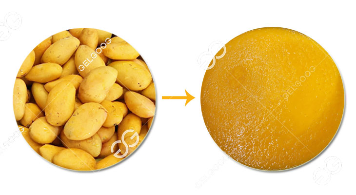 Jus de Mangue
