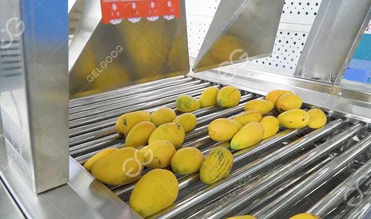 Séchage à l'Air de Mangue