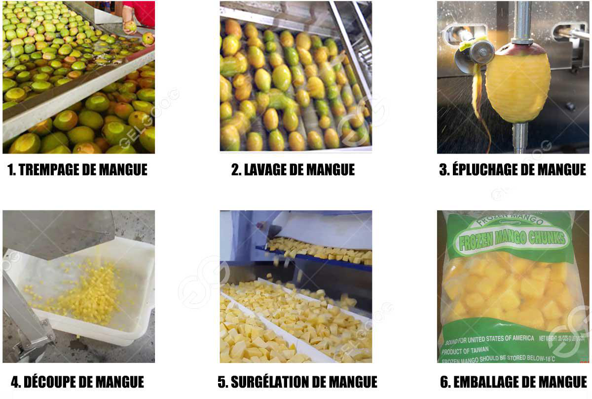 Processus de Travail de da Mangue en Dés IQF
