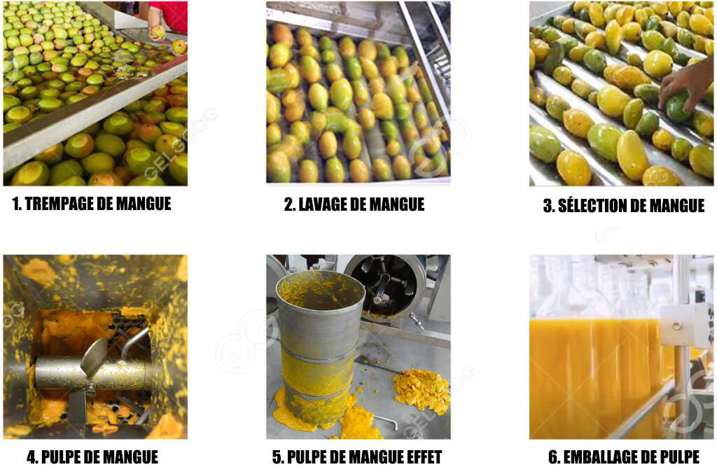 Flux de Traitement de la Pulpe de Mangue
