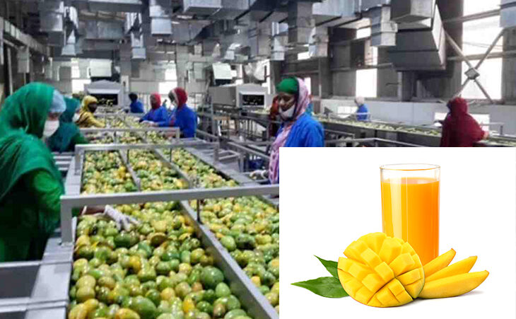 mango-juice-processing-plant-730x451