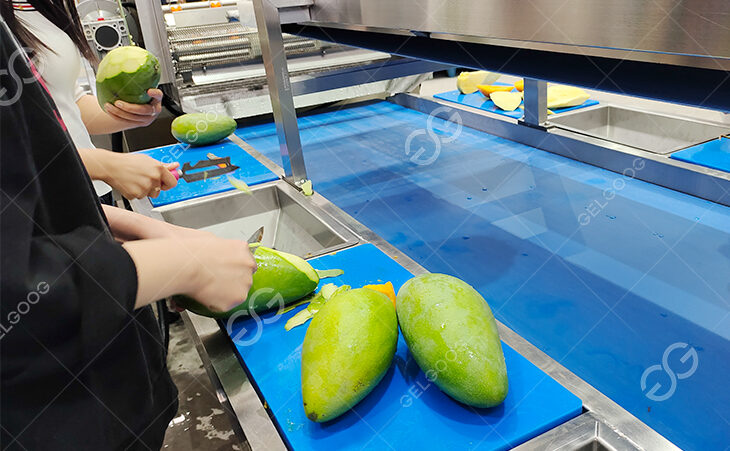 machine de traitement de mangue