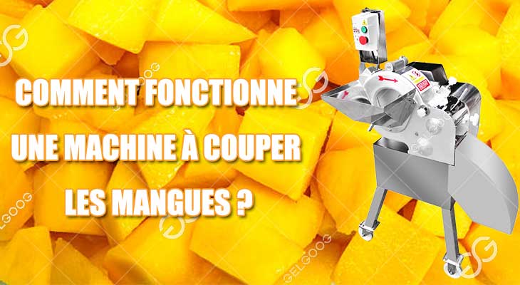 Comment Fonctionne Une Machine À Couper Les Mangues
