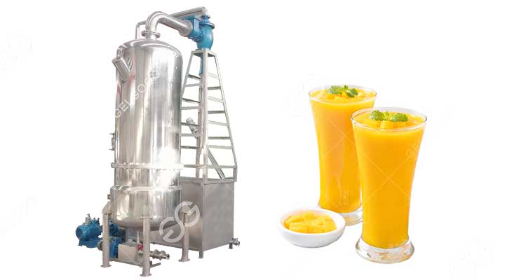 Concentrateur Sous Vide De Pulpe De Mangue