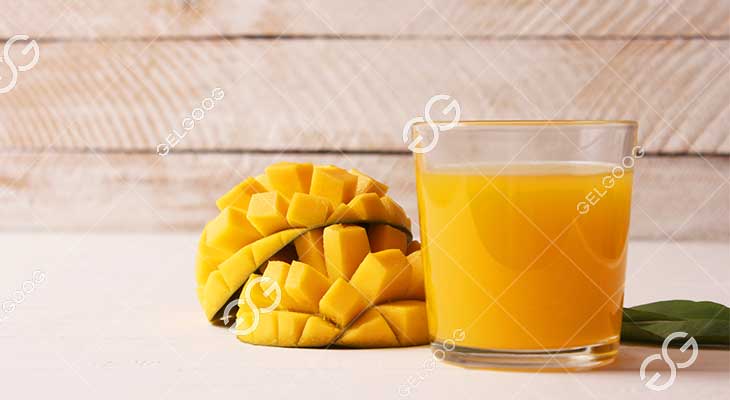 Comment Est Fabriqué Le Jus De Mangue En Usine