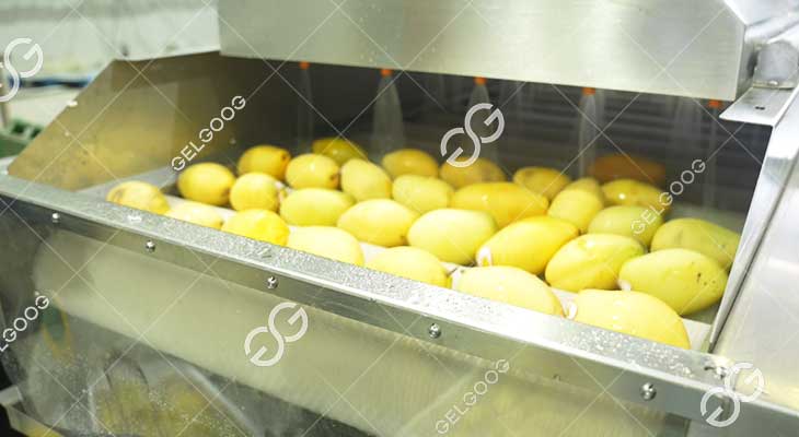 Comment Fabriquer Les Mangues Séchées En Usine