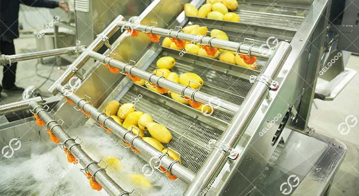 Machine De Lavage De Mangue