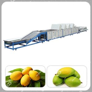 Ligne De Nettoyage Et De Calibrage Des Mangues Automatisée