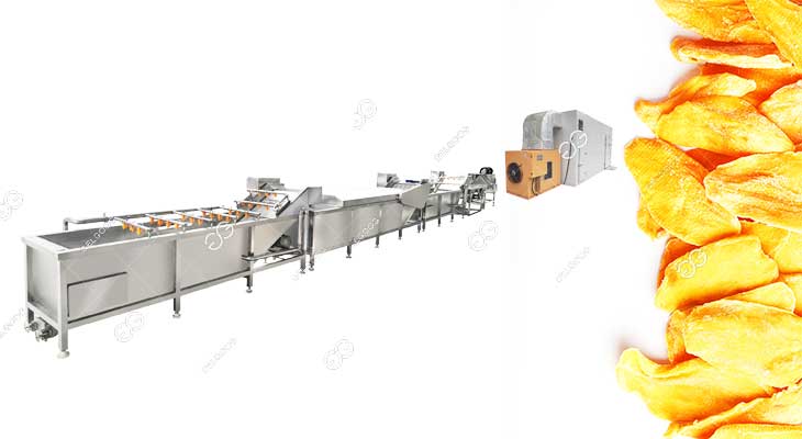 Séchage Industriel Pour Mangue : Guide Complet