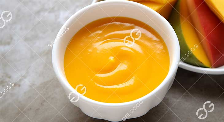 Comment Choisir La Meilleure Machine Pour La Confiture De Mangue